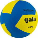 Мяч волейбольный GALA Training 230 12 BV5655S, размер 5, облегчённый (5)