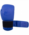 Перчатки боксерские Fight Expert BGS-V010, синий, 10 oz