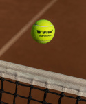 Мяч для большого тенниса Wish Champion Speed 610, 3 шт.