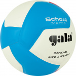 Мяч волейбольный GALA School 12 BV5715S, размер 5 (5)